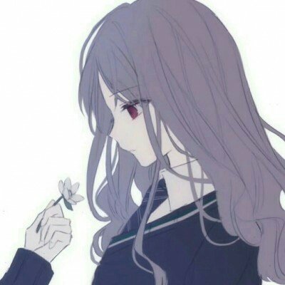 伊朗代表感谢中俄
